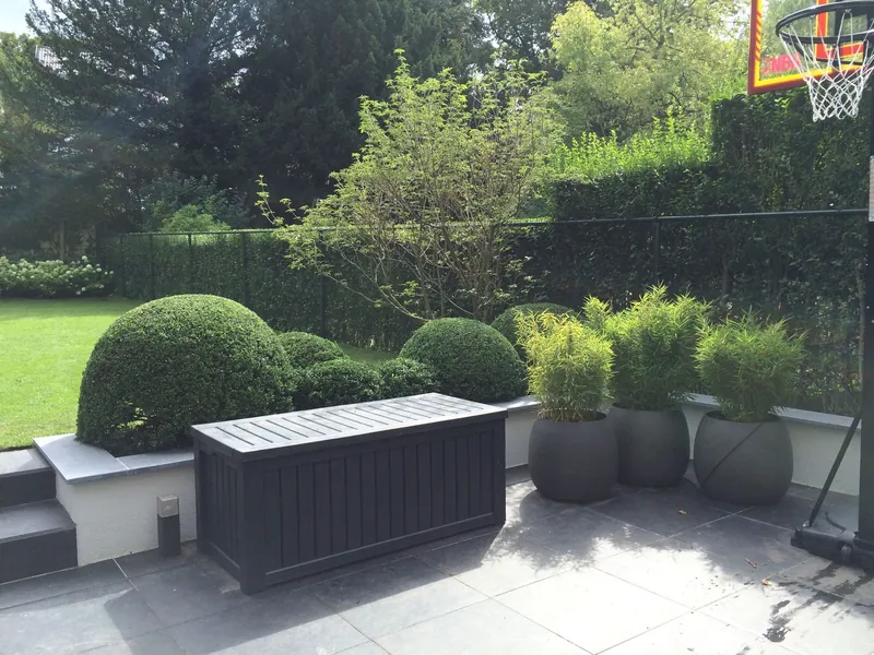 Geschoren bollen en een bank op een terras met gazon erachter