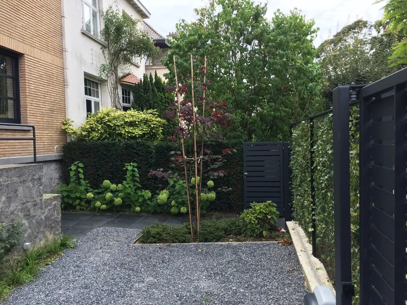 Grindpad met hortensia's en een rode esdoorn langs een bakstenen woning