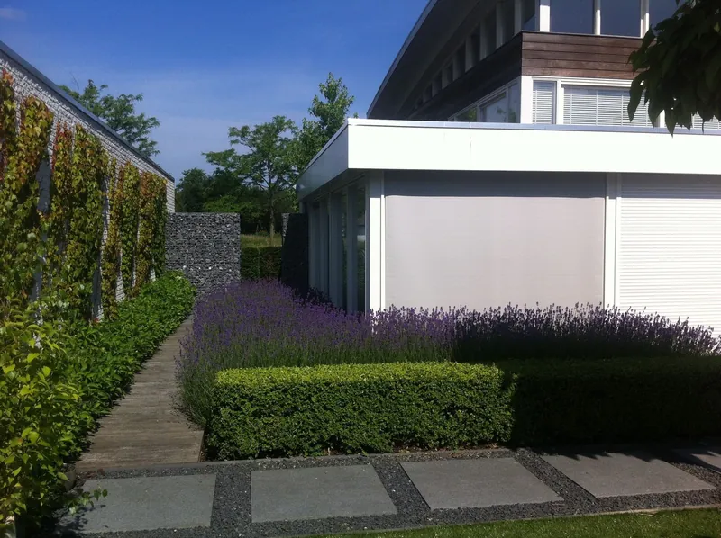 Moderne woning met lavendel, geschoren hagen en een pad van grote tegels