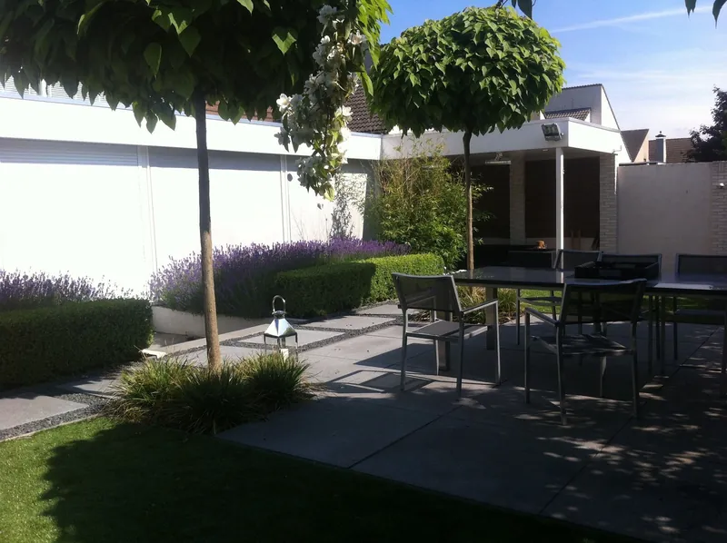 Terras met eettafel, parasol en bolbomen langs het gazon